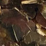 Gold Micro